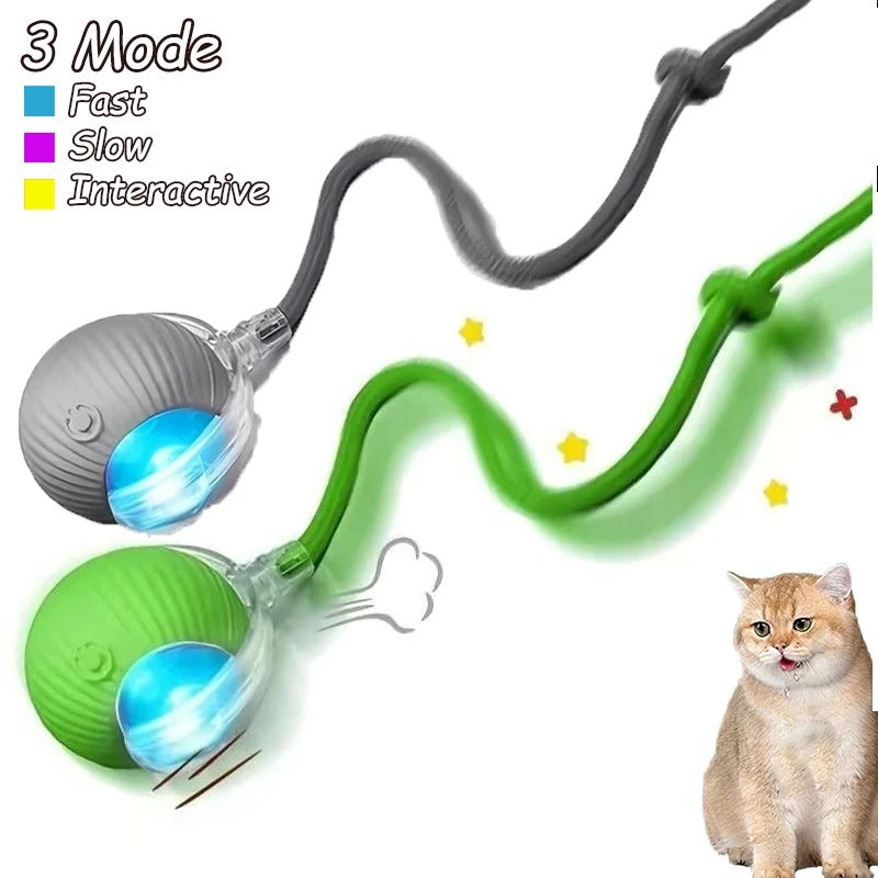 2 Stück Katzenspielzeug, interaktiver Ball, automatischer Rollball, Kunstschwanz, wiederaufladbar, intelligentes Haustier, elektrisches Spielzeug, Katzentraining, imitieren Maus