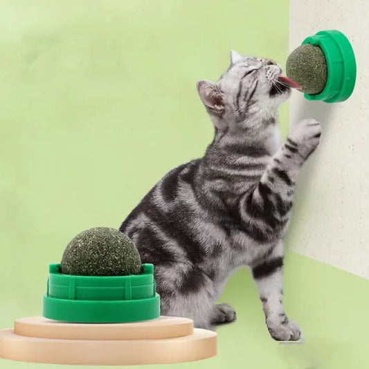 Katzenminze, Katzenwand-Aufklebeball, Kratzspielzeug, Leckerlis, gesund, natürlich, entfernt Bälle zur Förderung der Verdauung, Katzengras-Snack