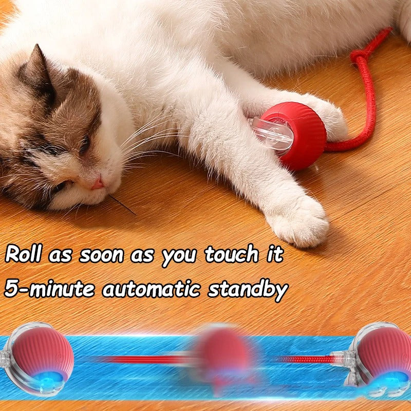 2 Stück Katzenspielzeug, interaktiver Ball, automatischer Rollball, Kunstschwanz, wiederaufladbar, intelligentes Haustier, elektrisches Spielzeug, Katzentraining, imitieren Maus