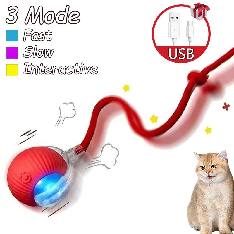 2 Stück Katzenspielzeug, interaktiver Ball, automatischer Rollball, Kunstschwanz, wiederaufladbar, intelligentes Haustier, elektrisches Spielzeug, Katzentraining, imitieren Maus
